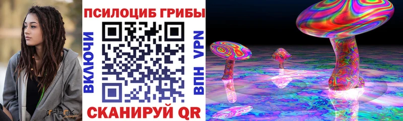 наркотики  Куса  Псилоцибиновые грибы Cubensis 